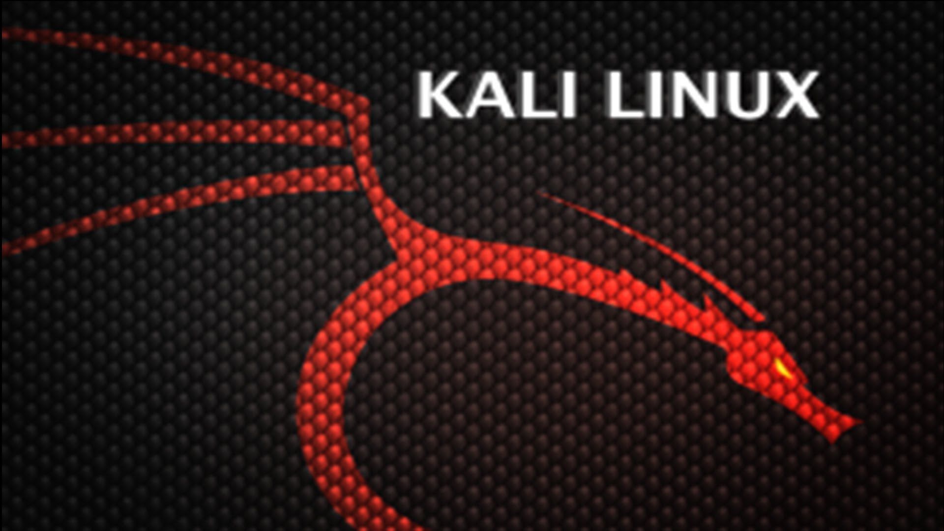 Kali Linux Wallpapers Full Screen Images High Quality Desktop, Laptop, Android Wallpaper.